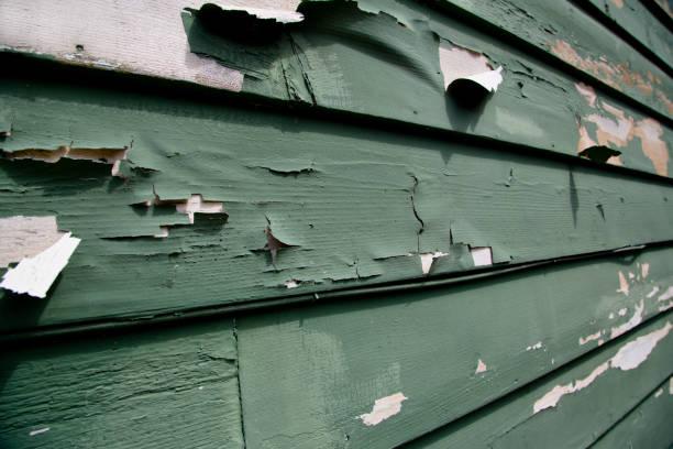 Trusted Deridder, LA Siding Installation & Repair Experts