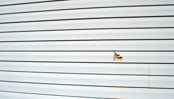 Best Siding Maintenance  in Deridder, LA