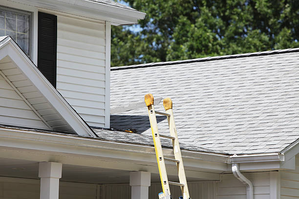 Best Stucco Siding  in Deridder, LA
